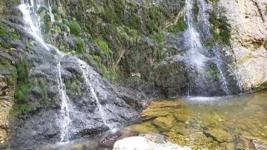 IMG-20250126-WA0114(1).jpg