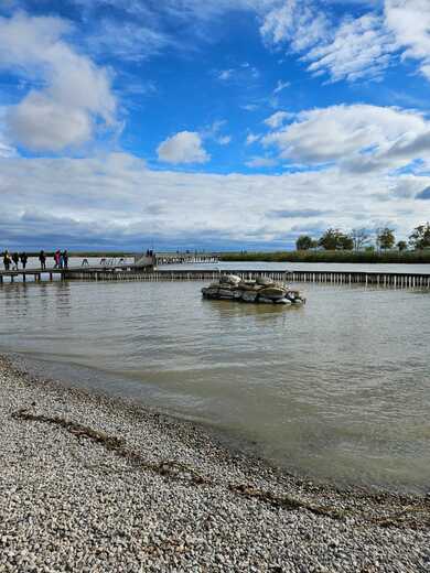 IMG-20250202-WA0144.jpg