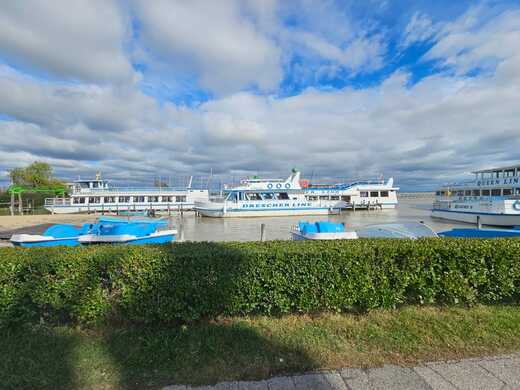 IMG-20250202-WA0146.jpg