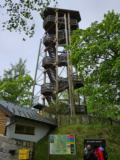 IMG-20250202-WA0177.jpg