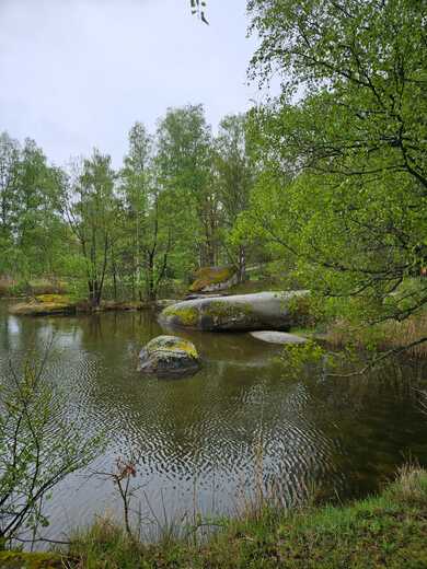 IMG-20250202-WA0185.jpg