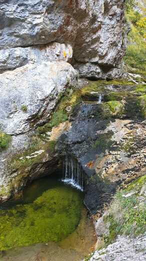IMG-20250202-WA0202.jpg