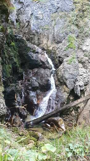 IMG-20250202-WA0203.jpg