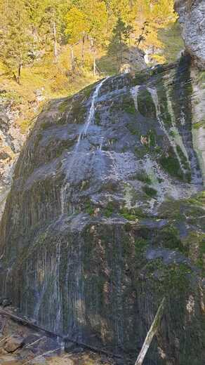 IMG-20250202-WA0204.jpg