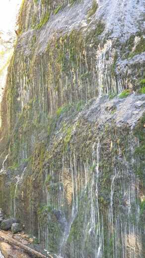 IMG-20250202-WA0205.jpg