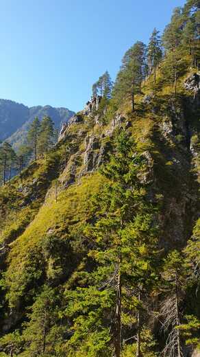 IMG-20250202-WA0208.jpg
