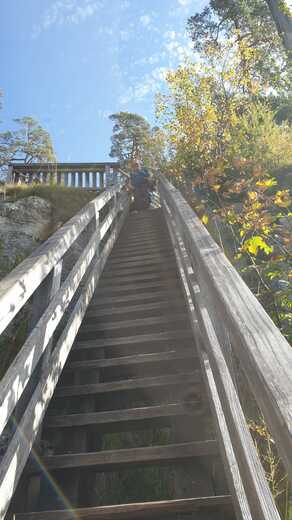 IMG-20250202-WA0209.jpg