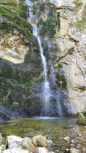IMG-20250202-WA0213.jpg