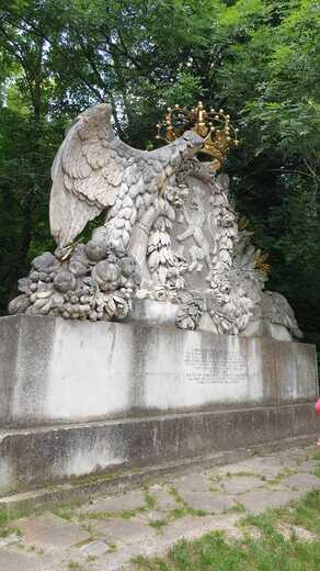 IMG-20250202-WA0228.jpg
